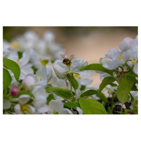 PHOTO84, CLUB, 84 , LUBERON